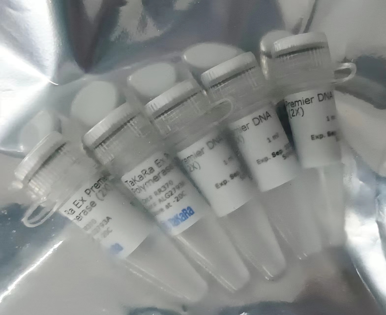 TaKaRa Ex Premier™ DNA Polymerase